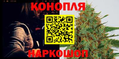 крисы Коломна
