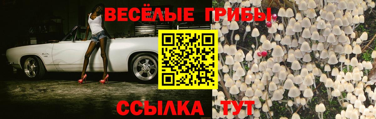 Псилоцибиновые грибы прущие грибы  Галлюциногенные грибы Cubensis  Вход с VPN  Губкин 
