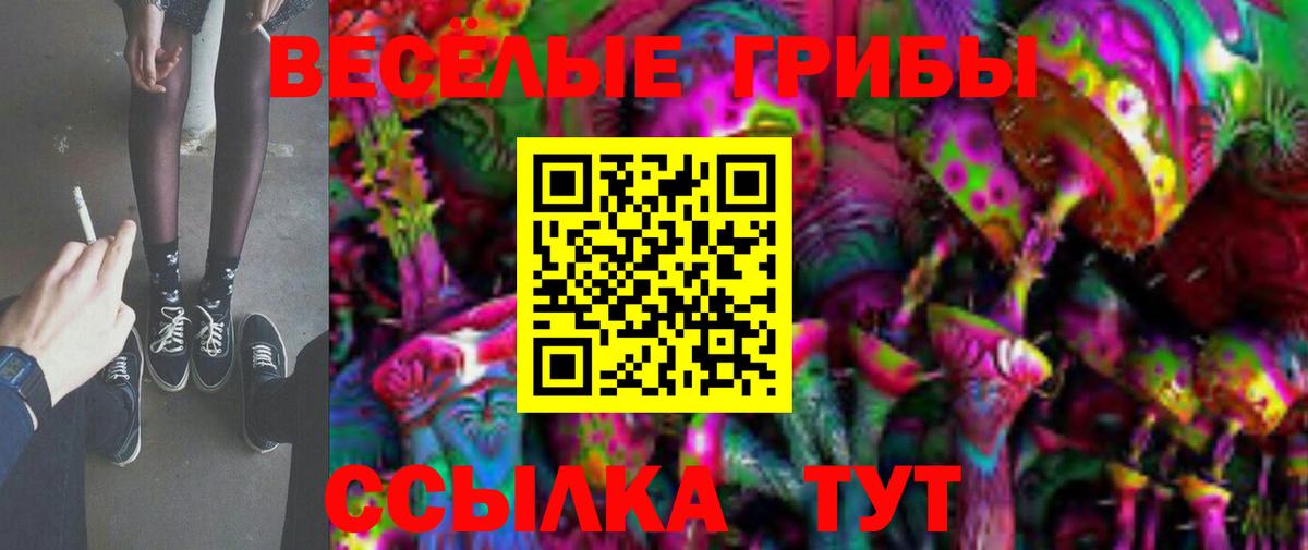 Галлюциногенные грибы Psilocybine cubensis Губкин